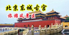 女人被操视频网站中国北京-东城古宫旅游风景区