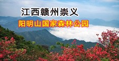 公交免费黄色视频大全